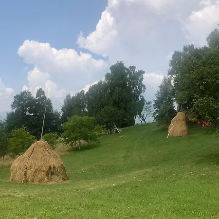 Pensiunea Poiana Viselor-2